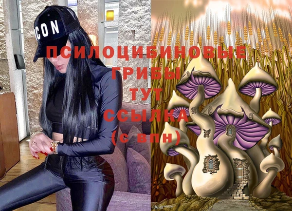 метадон Армянск