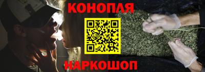 spice Гай