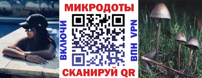 где купить наркоту Зима Псилоцибиновые грибы мухоморы