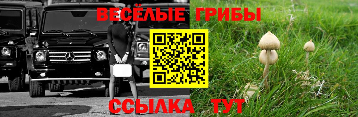 Зима  Псилоцибиновые грибы GOLDEN TEACHER  Галлюциногенные грибы Psilocybe  Вход с VPN 